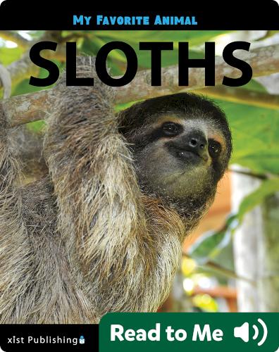 My Favorite Animal: Sloths