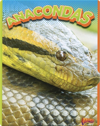 Anacondas
