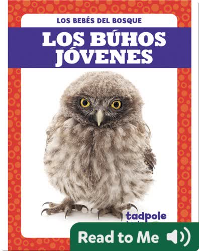 Los búhos jóvenes
