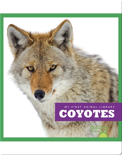 Coyotes