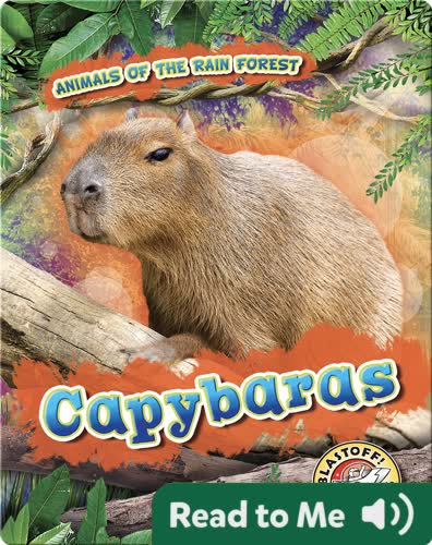 Capybaras