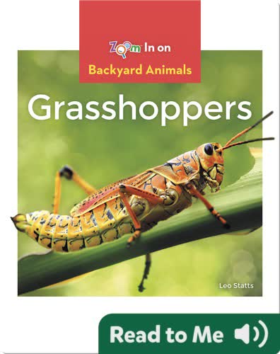 Grasshoppers