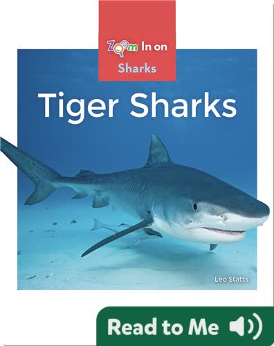 Tiger Sharks