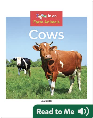 Cows