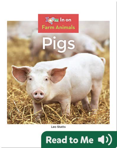 Pigs