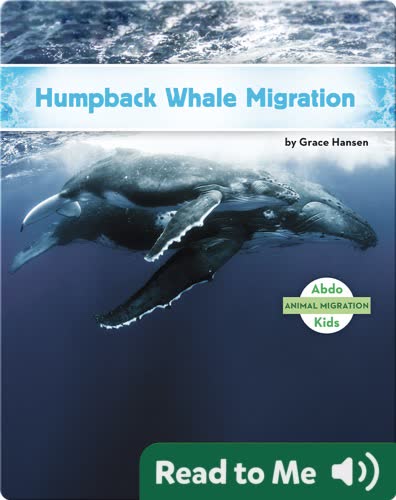 Humpback Whale Migration