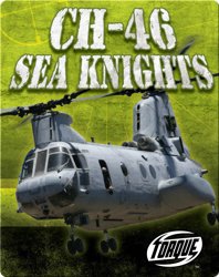 CH-46 Sea Knights