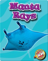 Manta Rays: Oceans Alive