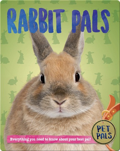 Rabbit Pals