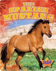 The Spanish Mustang