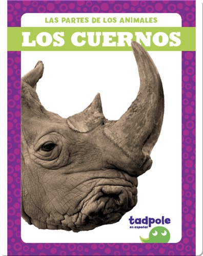 Las partes de los animales: Los cuernos