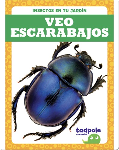 Insectos en tu jardín: Veo escarabajos