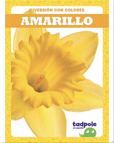 Diversión con colores: Amarillo