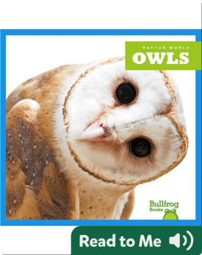 Raptor World: Owls