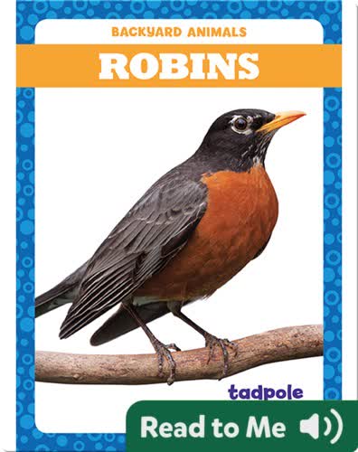 Backyard Animals: Robins