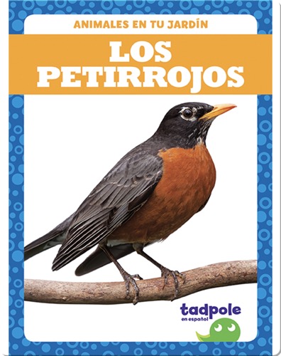 Los petirrojos