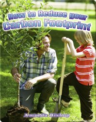 How to Reduce your Carbon Footprint