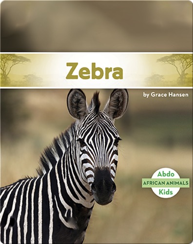 Zebra