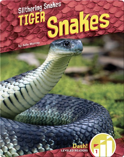 Tiger Snakes