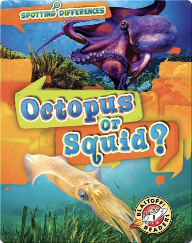 Spotting Differences: Octopus or Squid?