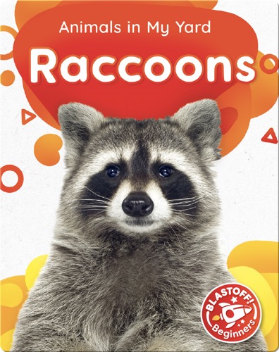 Animals in My Yard: Raccoons