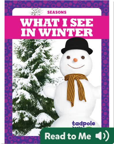 Seasons: What I See in Winter