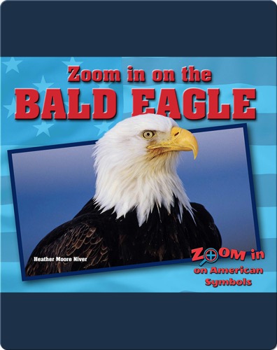Zoom in on the Bald Eagle