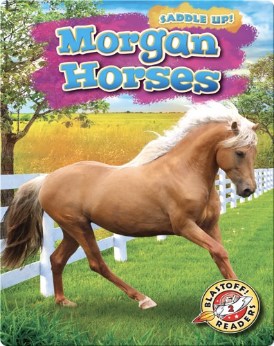 Saddle Up!: Morgan Horses