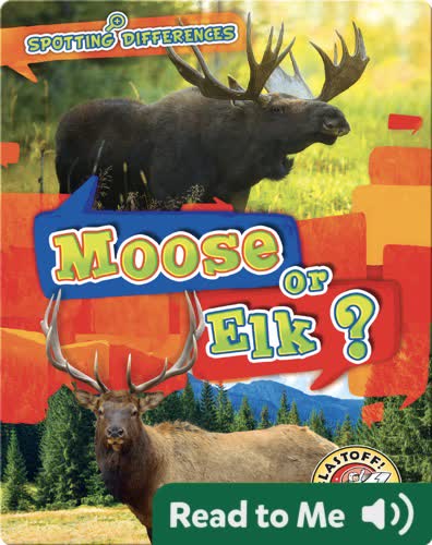 Spotting Differences: Moose or Elk?