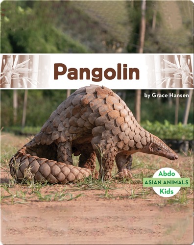 Asian Animals: Pangolin