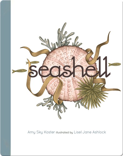 Seashell