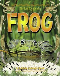 The Life Cycle of a Frog