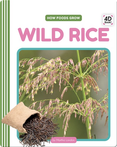 How Foods Grow: Wild Rice