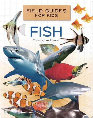 Field Guides for Kids: Fish