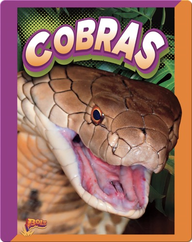 Slithering Snakes: Cobras