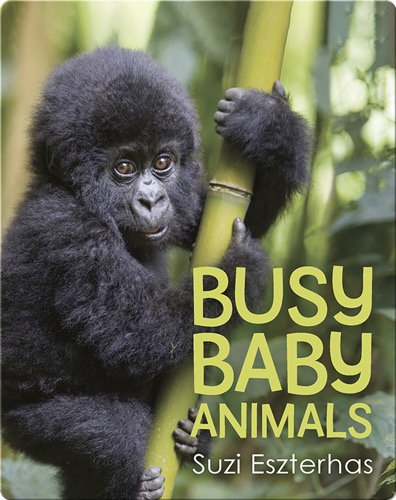 Busy Baby Animals