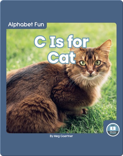 Alphabet Fun: C is for Cat