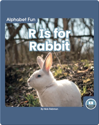 Alphabet Fun: R is for Rabbit