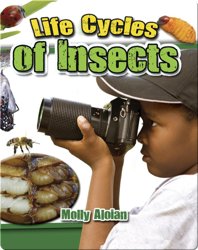 Life Cycles of Insects
