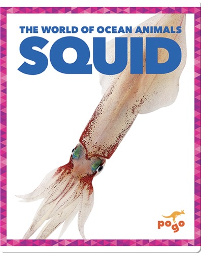 The World of Ocean Animals: Squid