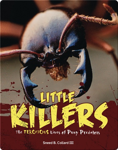Little Killers: The Ferocious Lives of Puny Predators
