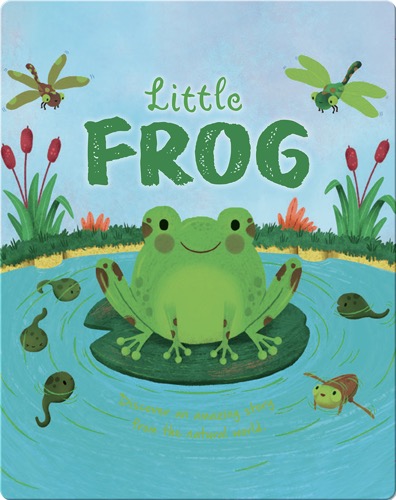 Little Frog