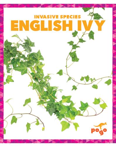 Invasive Species: English Ivy