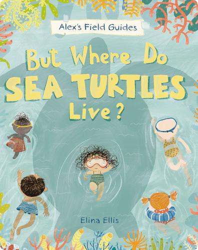 But Where Do Sea Turtles Live?