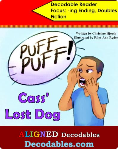 Cass' Lost Dog