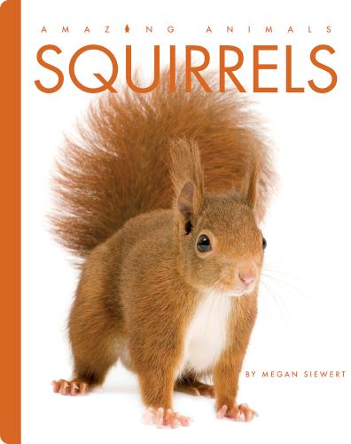 Squirrels