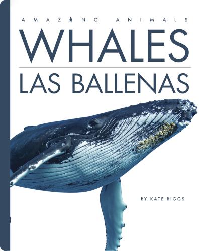 Whales / Las ballenas
