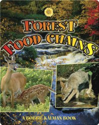 Forest Food Chains