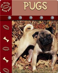 Eye To Eye With Dogs: Pugs