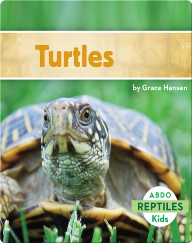 Turtles